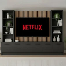 TV unit project 1
