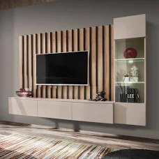 TV unit project 2